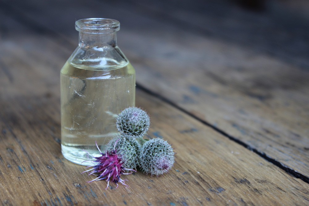 A máriatövis 7 jótékony hatása